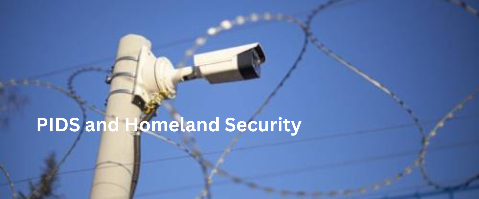 PIDS and Homeland Security (1)